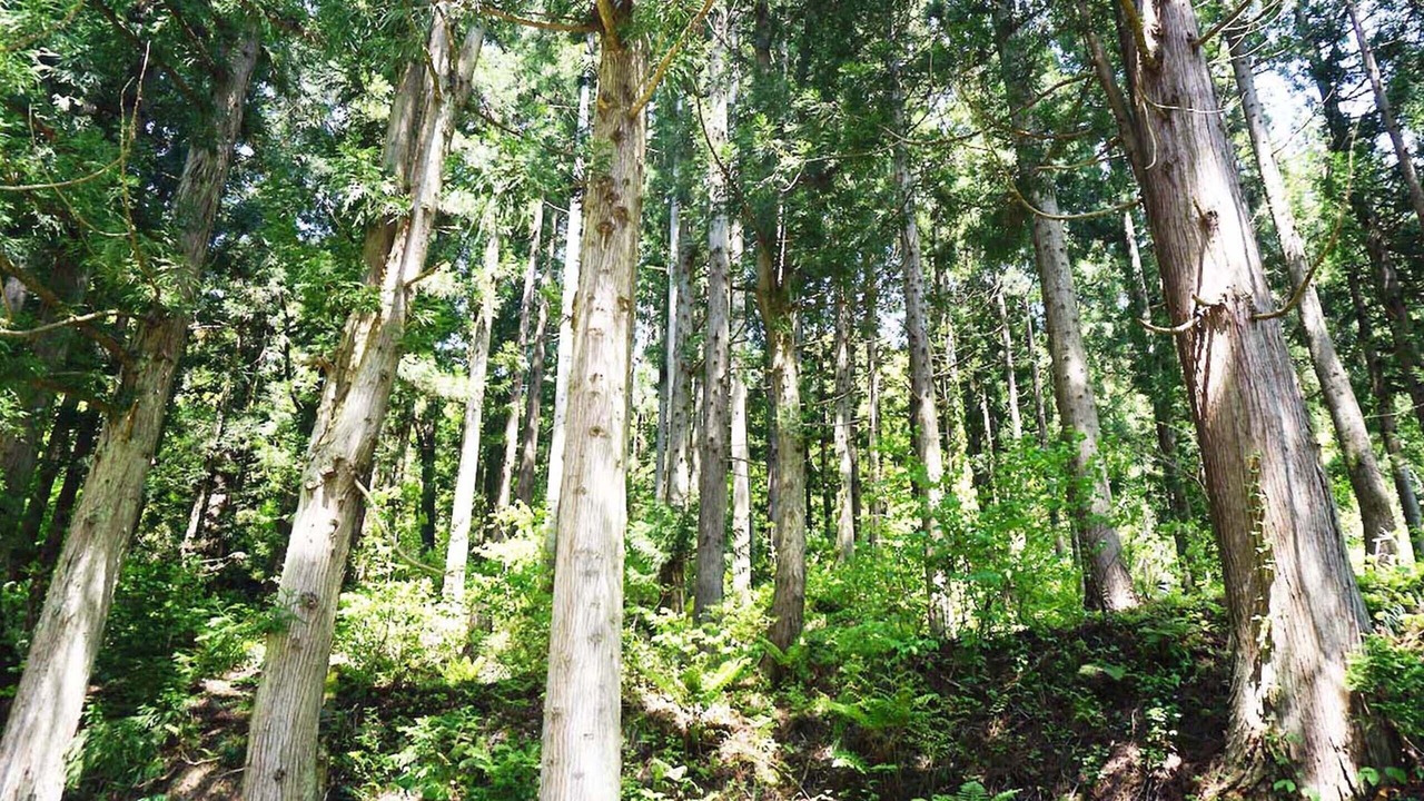Photo of Outdoor in Nishiaizu-machi