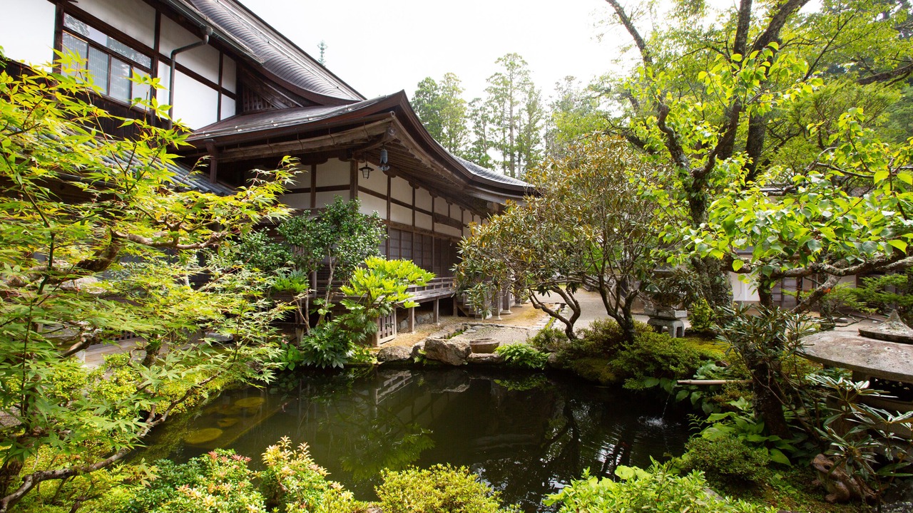 Photo of Outdoor in Koya