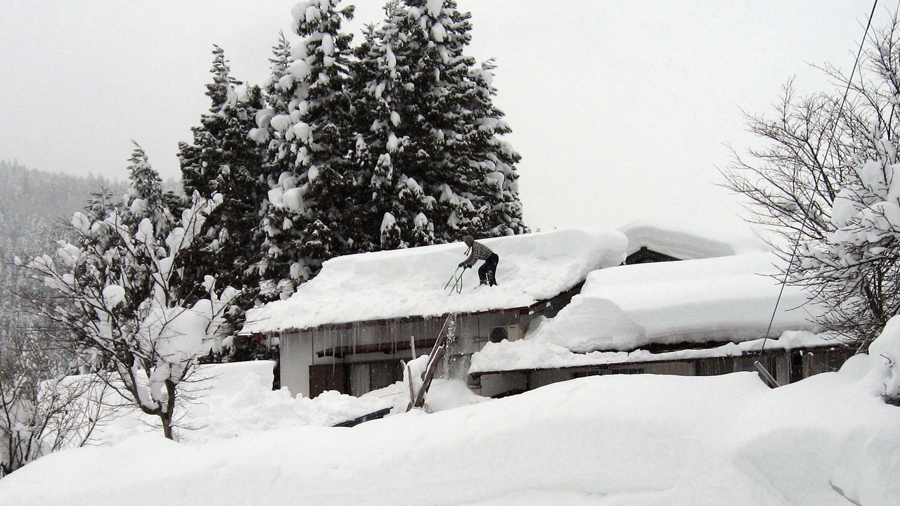 Photo of Outdoor in Gujo
