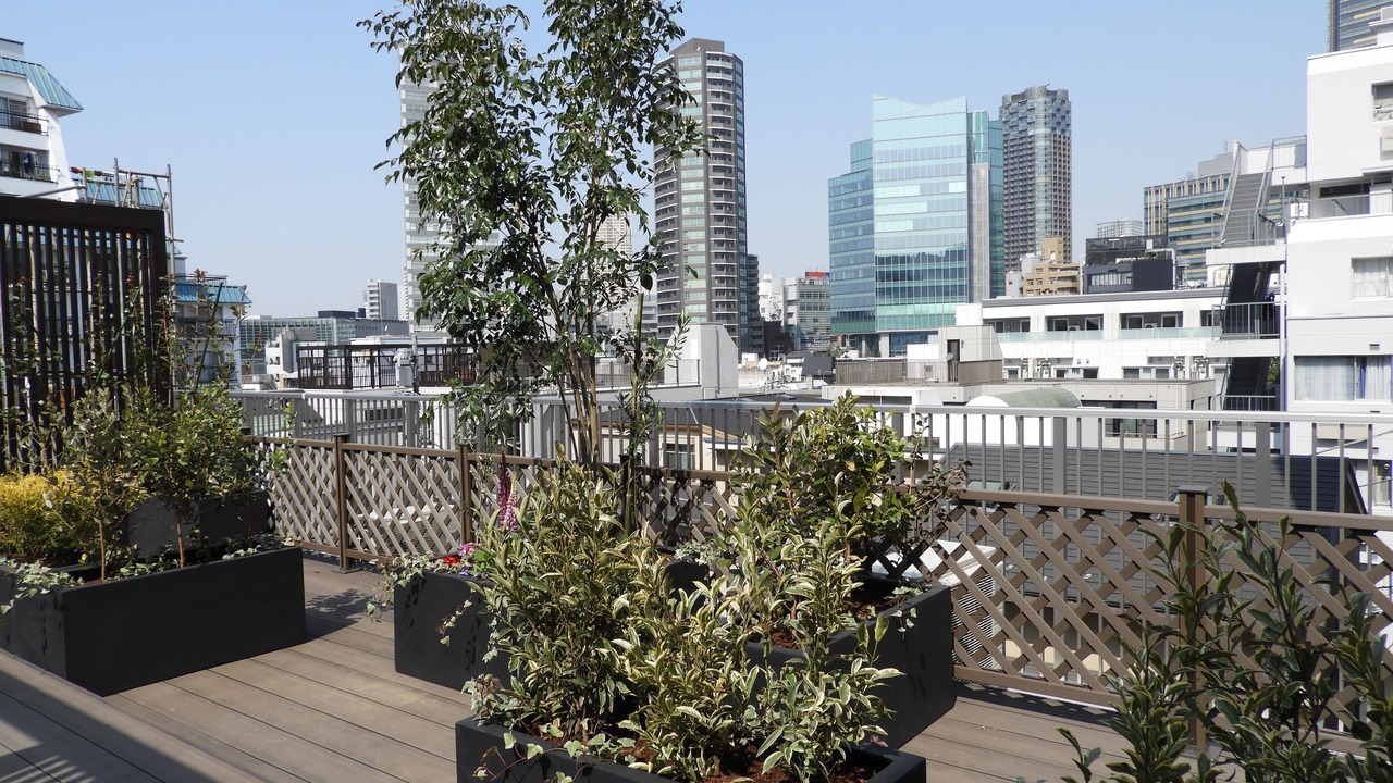 Photo of Others in Roppongi