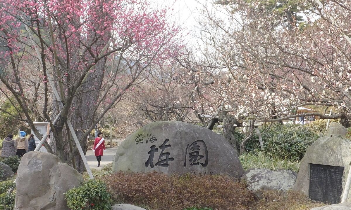Photo of Others in Atami