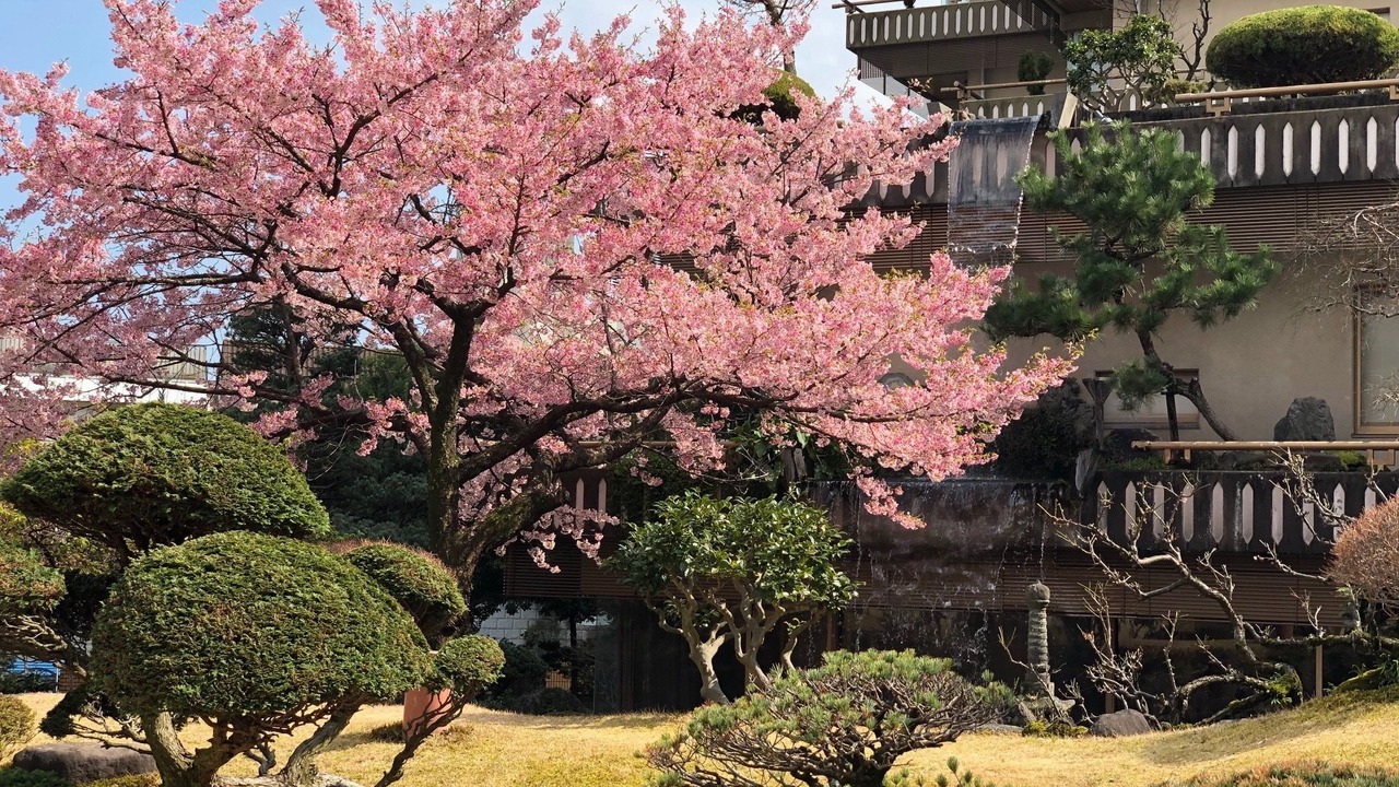 Photo of Outdoor in Atami