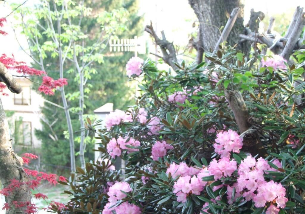 Photo of Outdoor in Zaoonsen