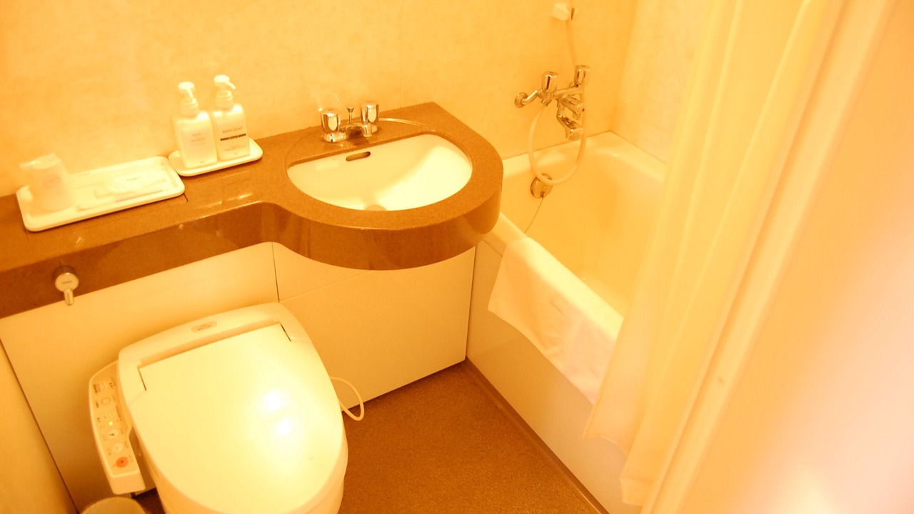 Photo of Bathroom in Hamacho