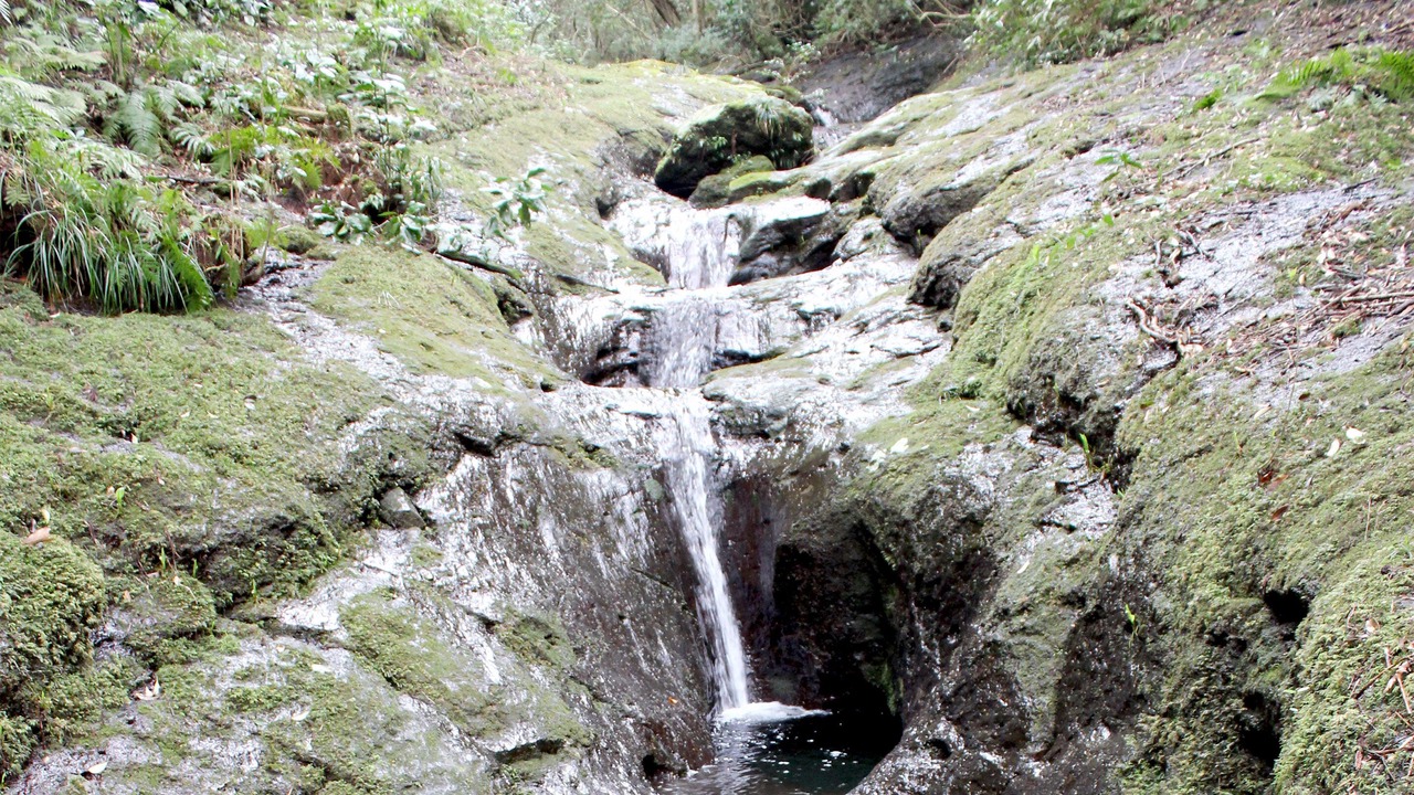 Photo of Others in Hachijo