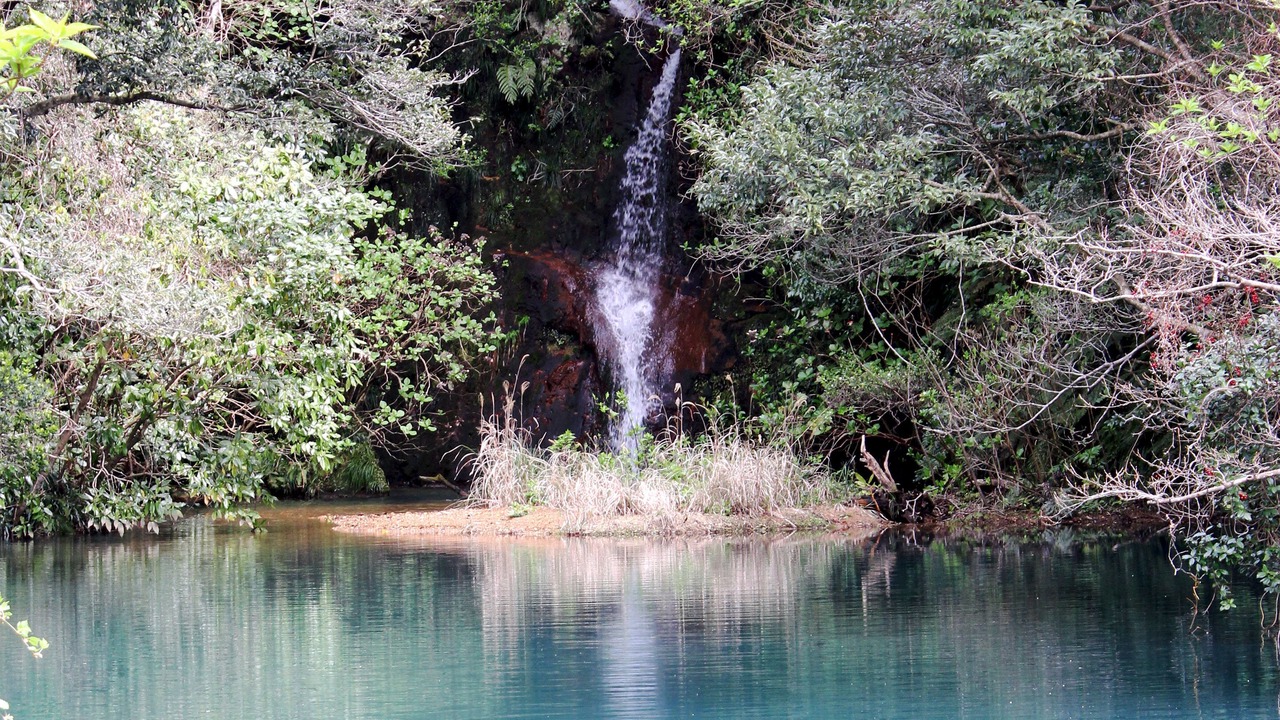 Photo of Outdoor in Hachijo