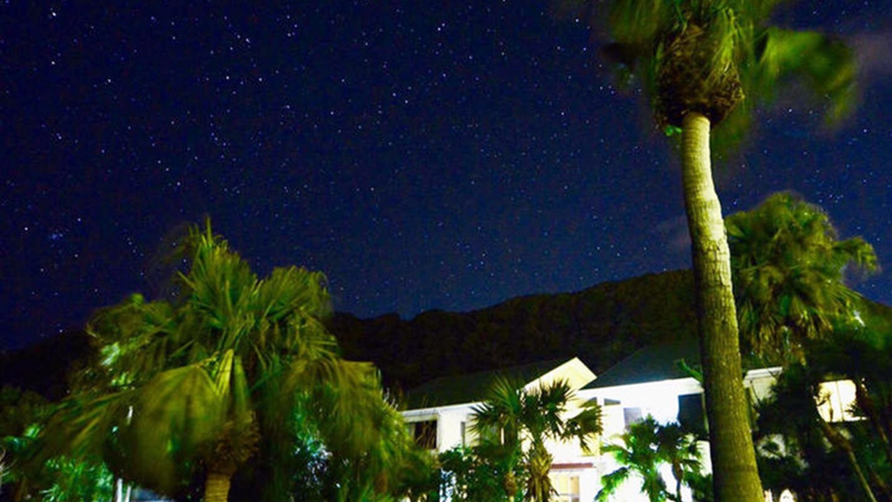 Photo of Outdoor in Hachijo