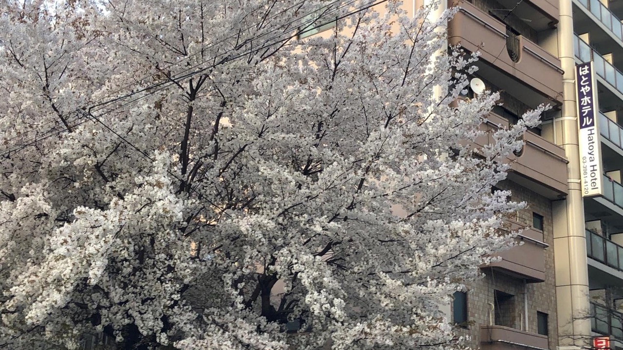 Photo of Outdoor in Ikebukuro