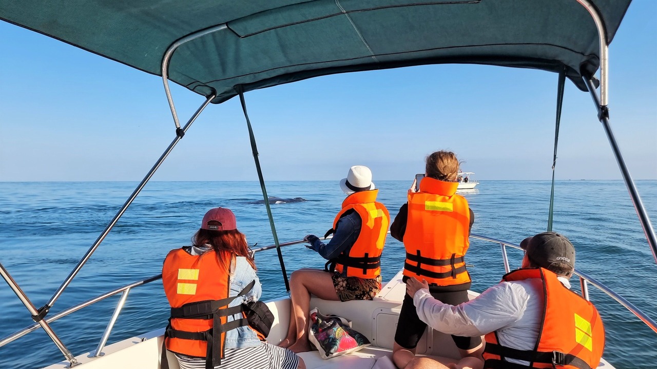Photo of Others in Punta Sal