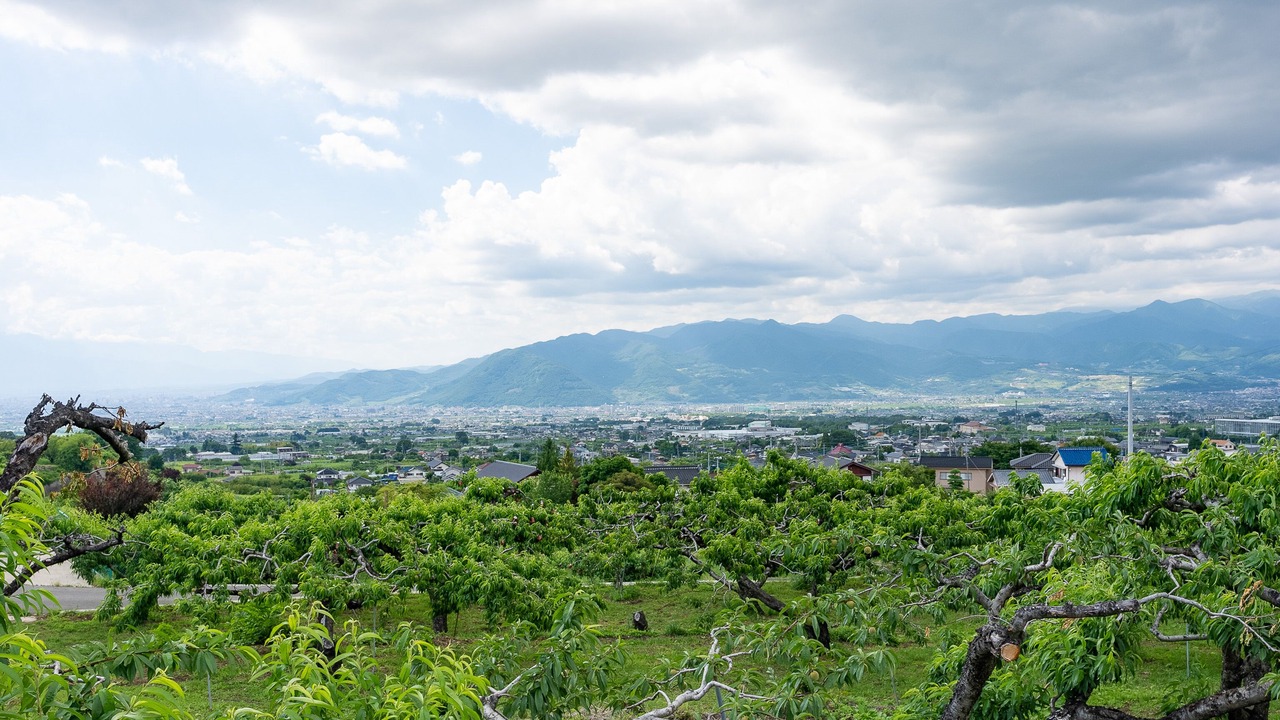 Photo of Outdoor in Fuefuki