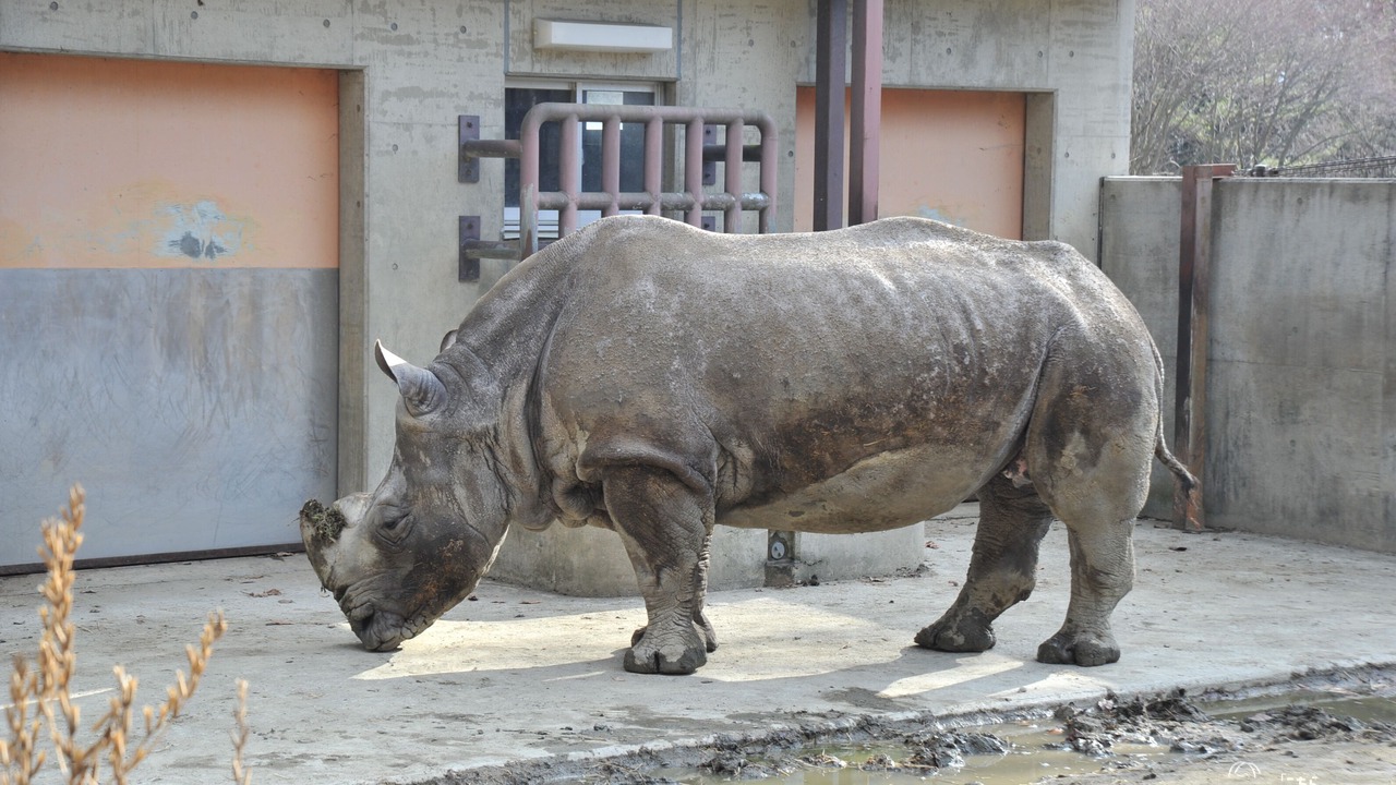 Photo of Others in Morioka