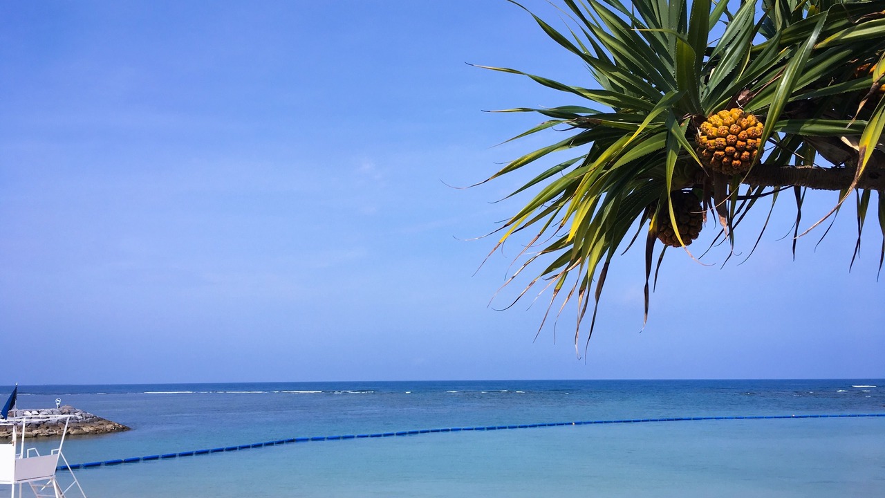 Photo of Others in Chatan