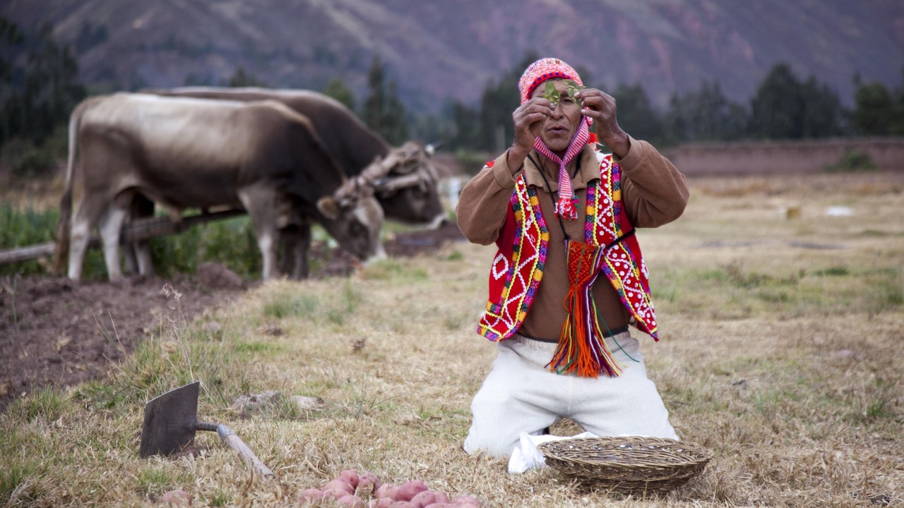 Photo of Outdoor in Urubamba