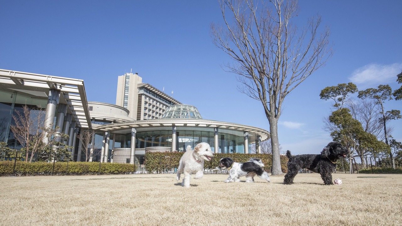 Photo of Outdoor in Nebukawa