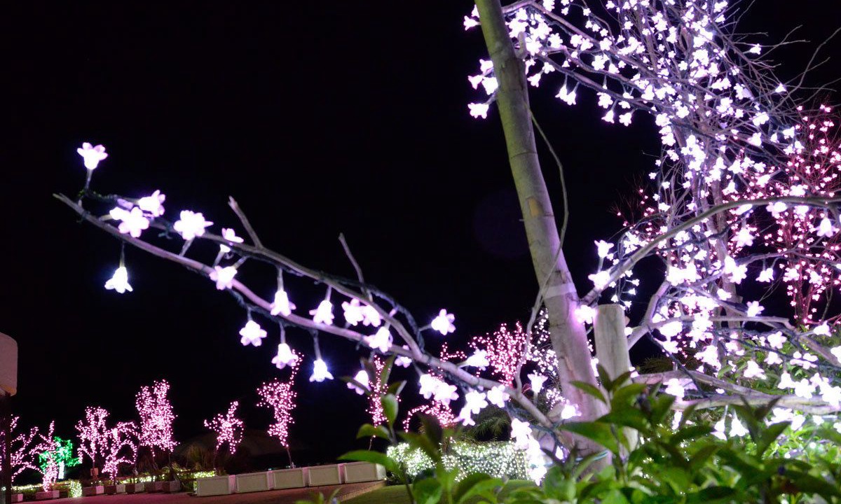 Photo of Outdoor in Ibusuki