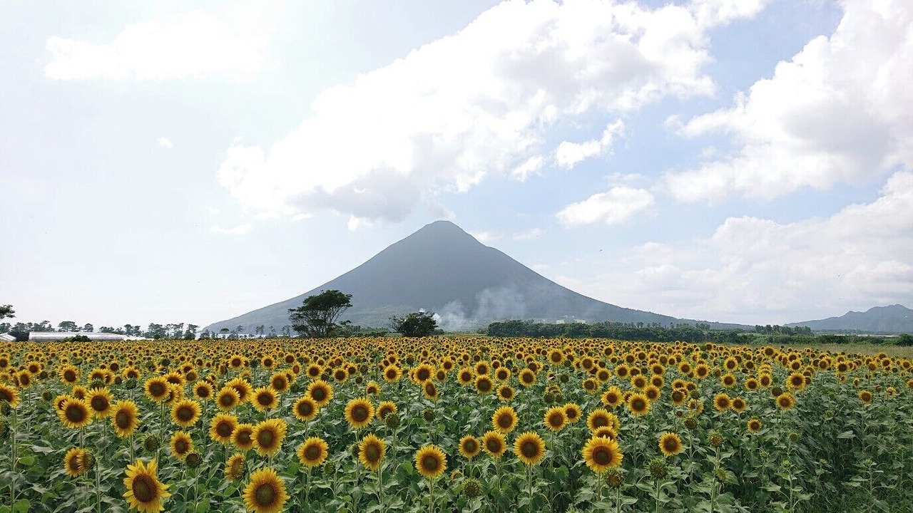Photo of Others in Ibusuki