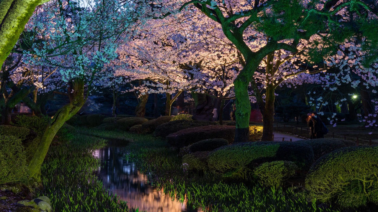 Photo of Others in Higashiyama