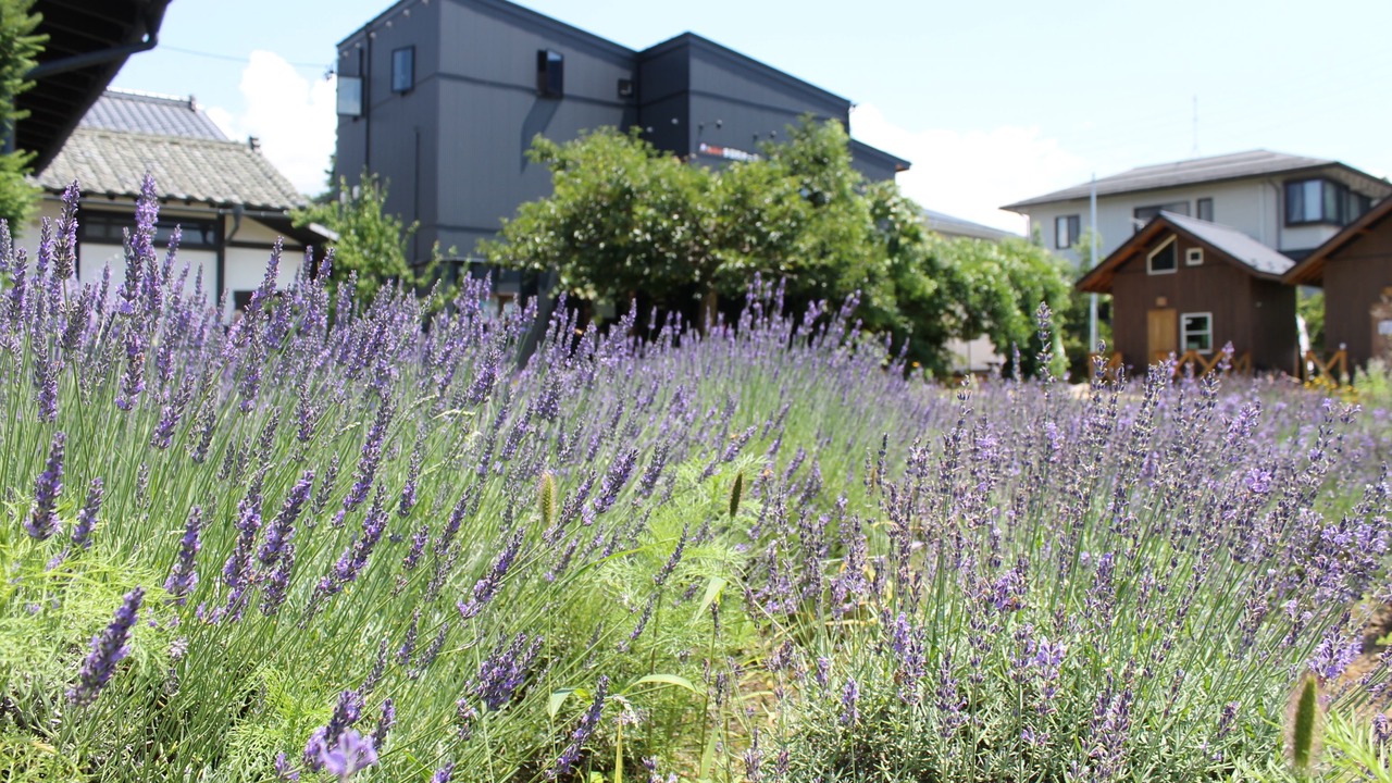 Photo of Outdoor in Matsumoto