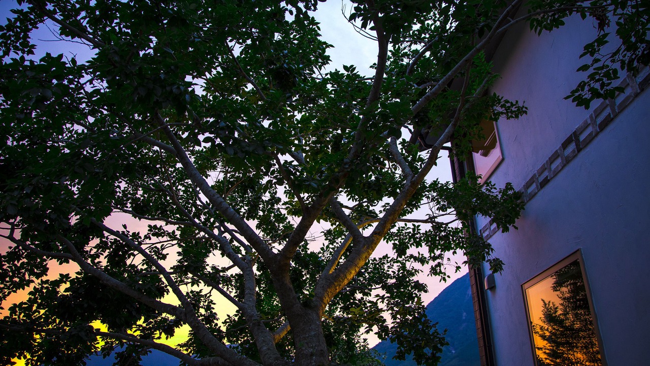 Photo of Others in Yufu