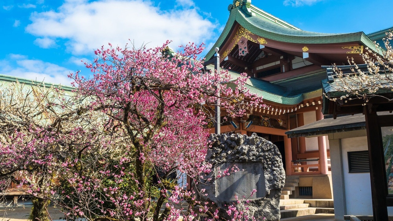 Photo of Others in Nishijin