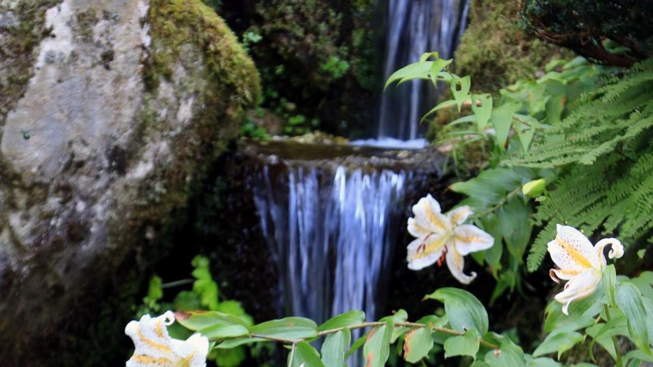 Photo of Outdoor in Yamanakako
