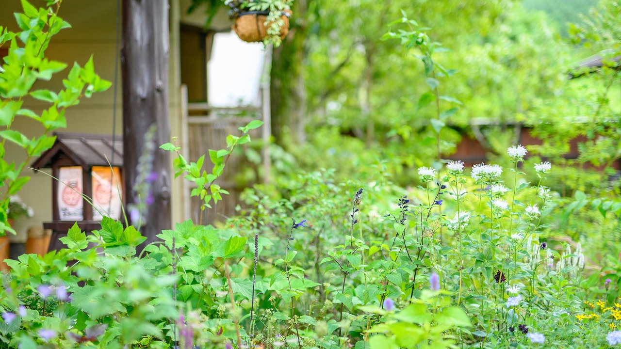 Photo of Outdoor in Yufuin Onsen
