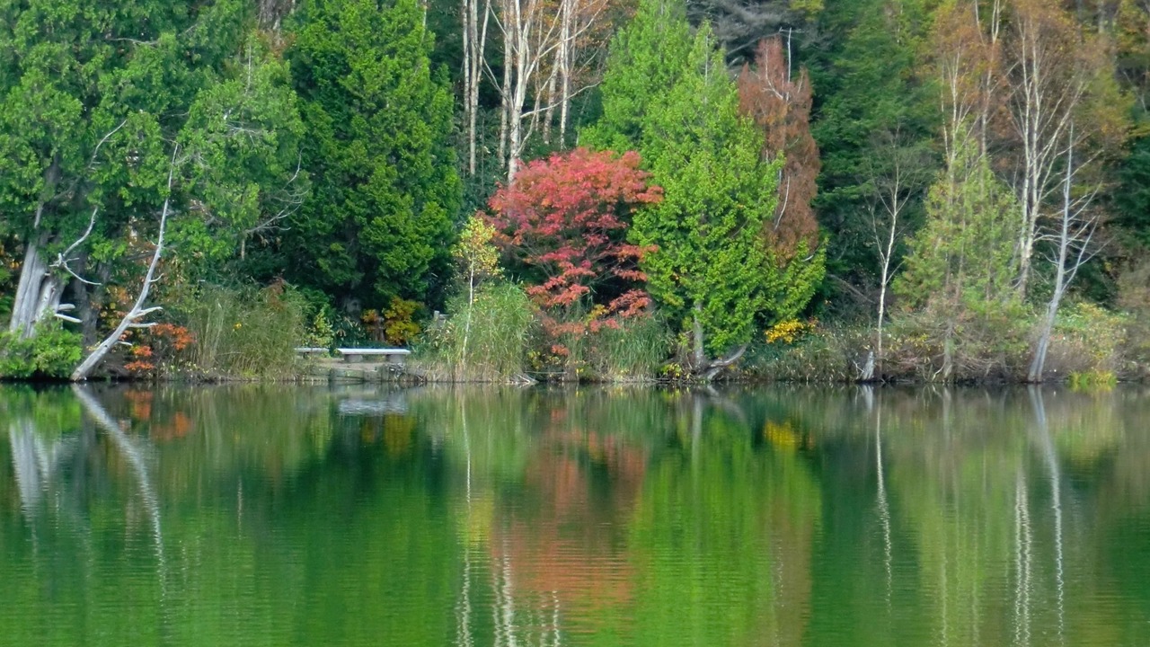 Photo of Outdoor in Shiga Highlands
