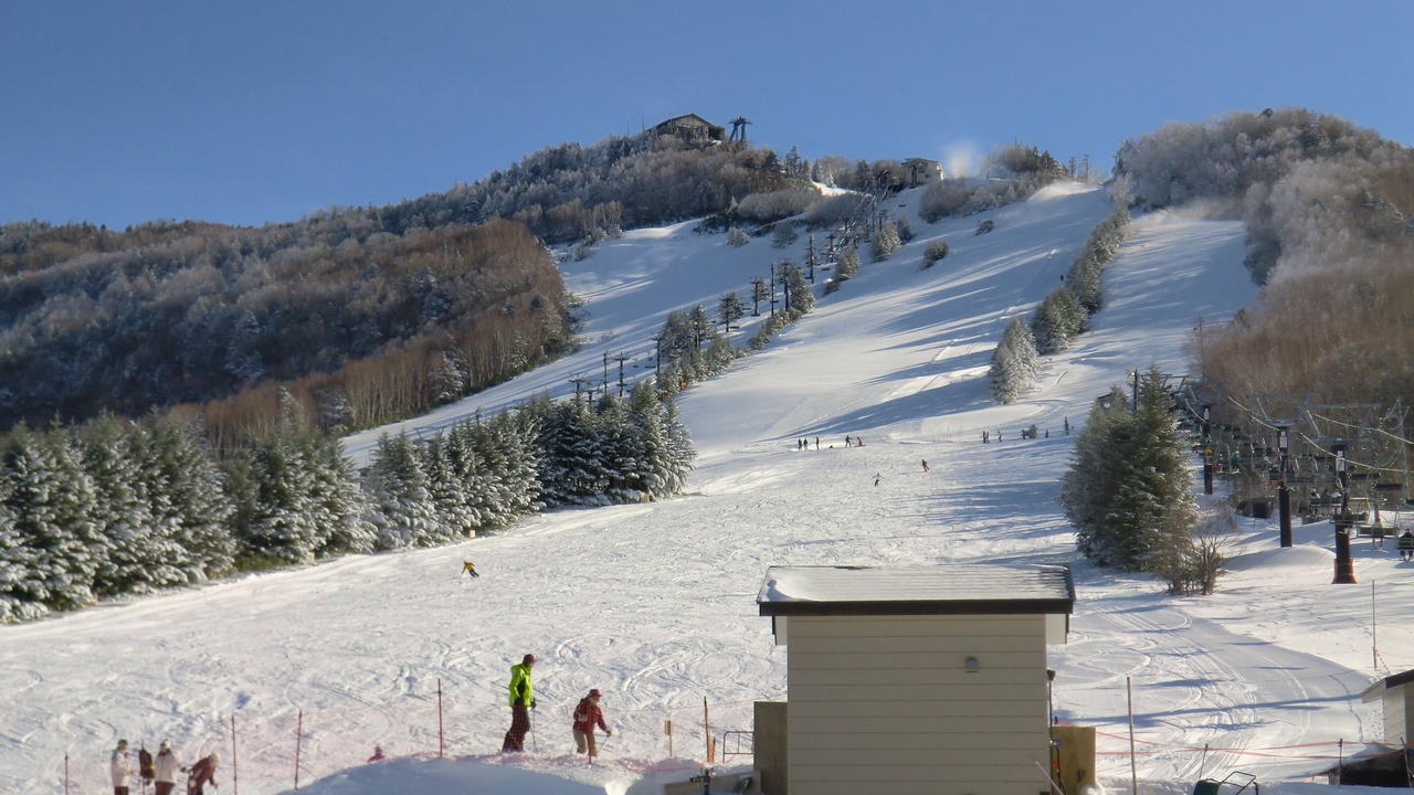 Photo of Others in Shiga Highlands