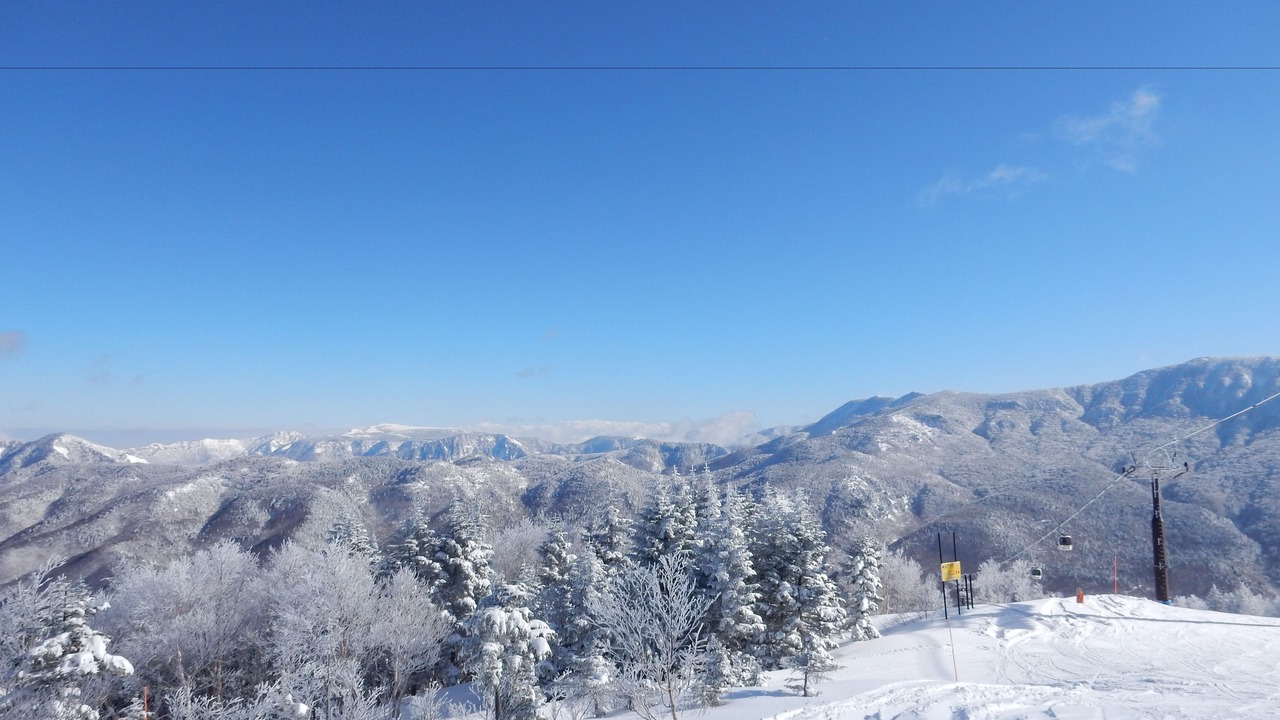 Photo of Others in Shiga Highlands