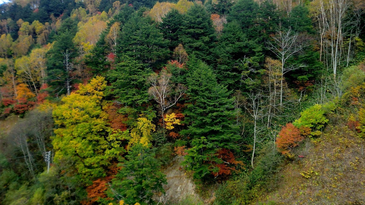 Photo of Outdoor in Shiga Highlands