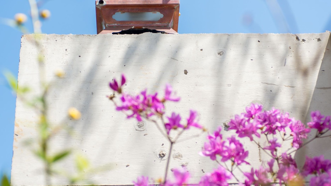 Photo of Outdoor in Hatsukaichi