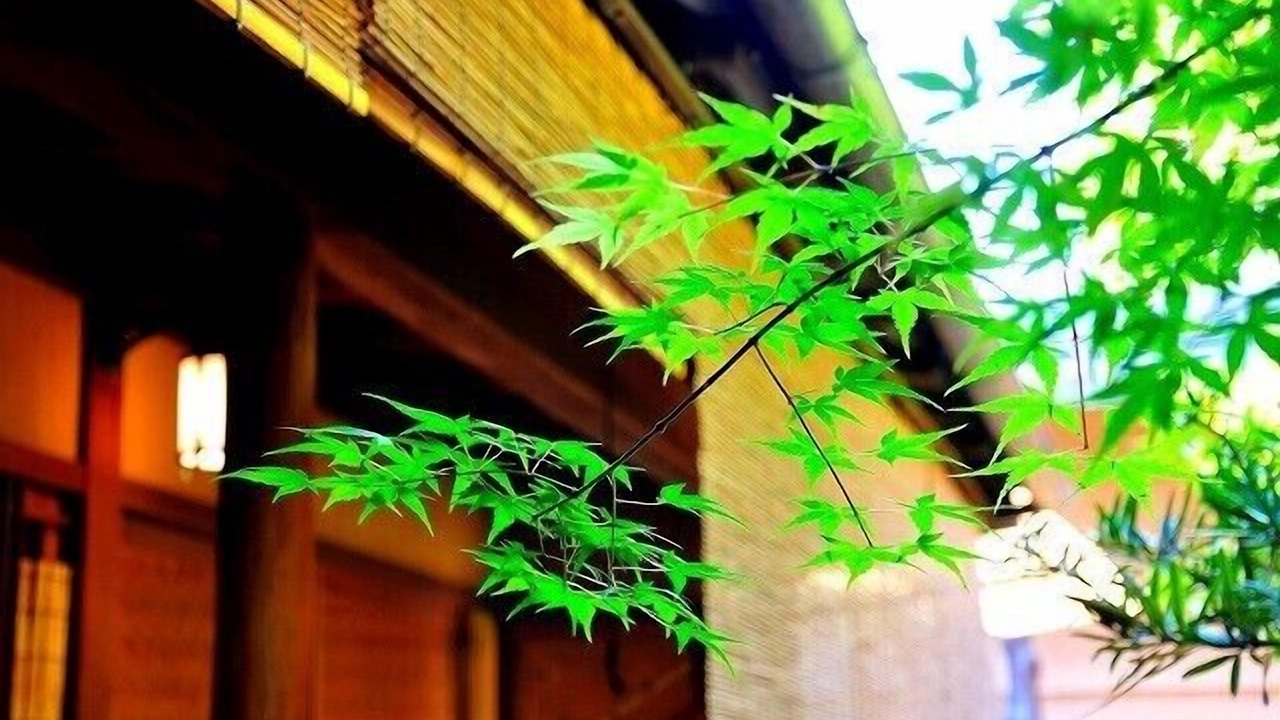 Photo of Outdoor in Nishijin