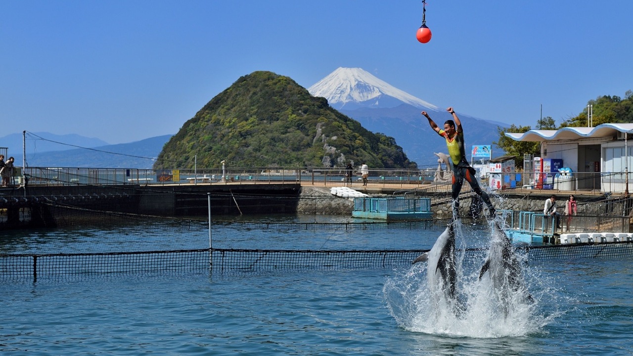 Photo of Others in Izu