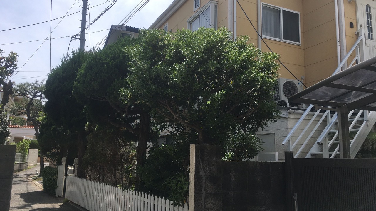 Photo of Outdoor in Zushi