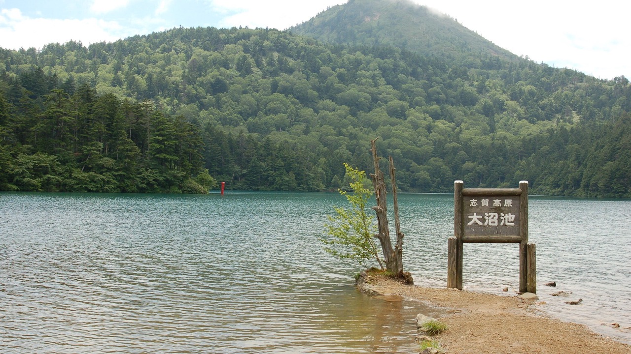 Photo of Others in Shiga Highlands