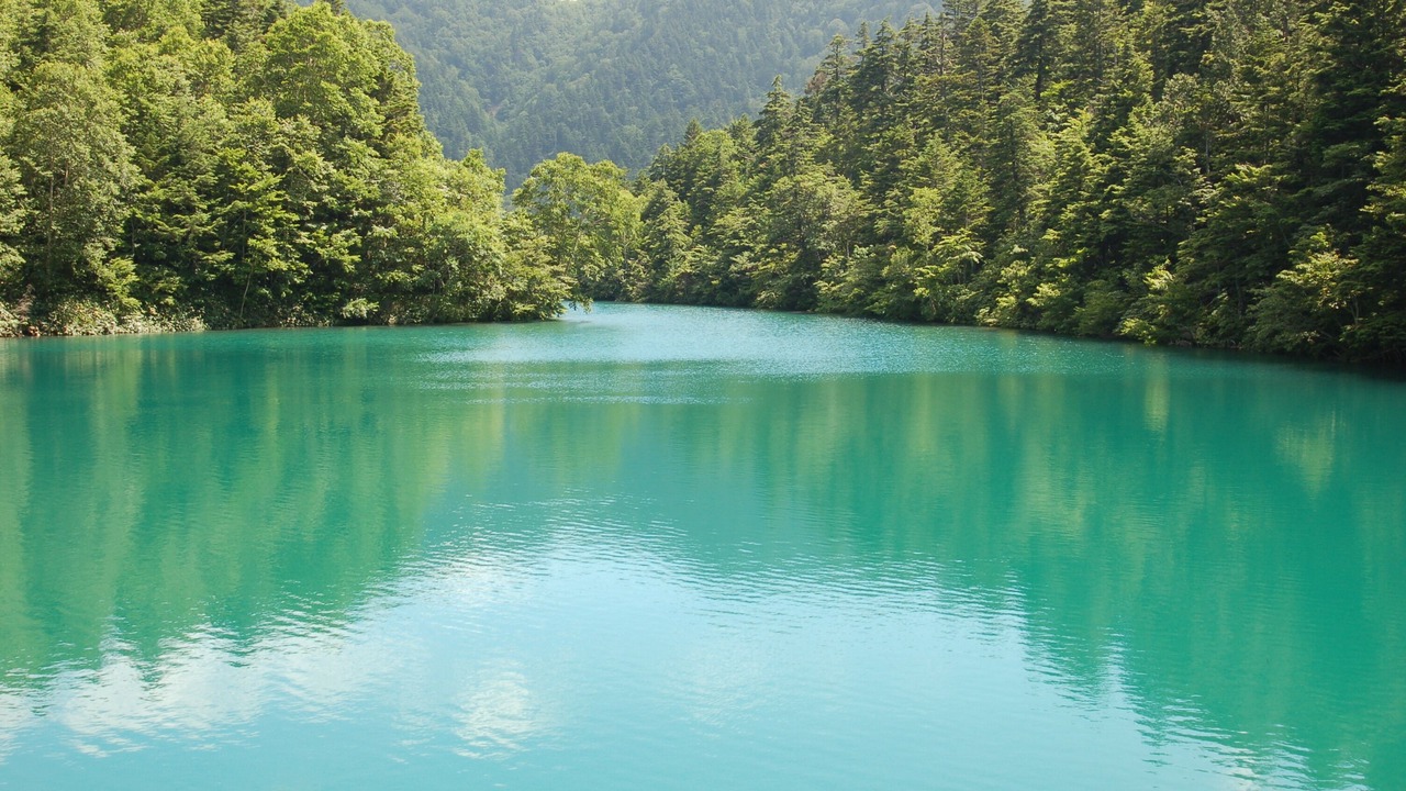 Photo of Others in Shiga Highlands