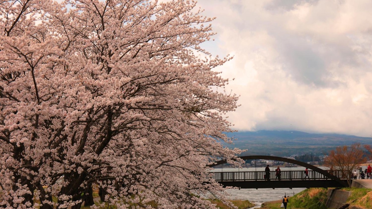 Photo of Outdoor in Fujikawaguchiko