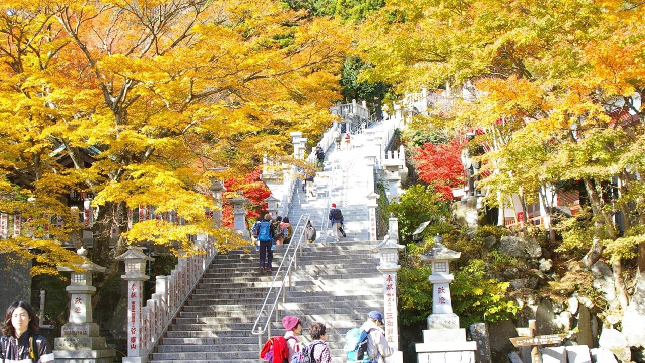 Photo of Outdoor in Isehara