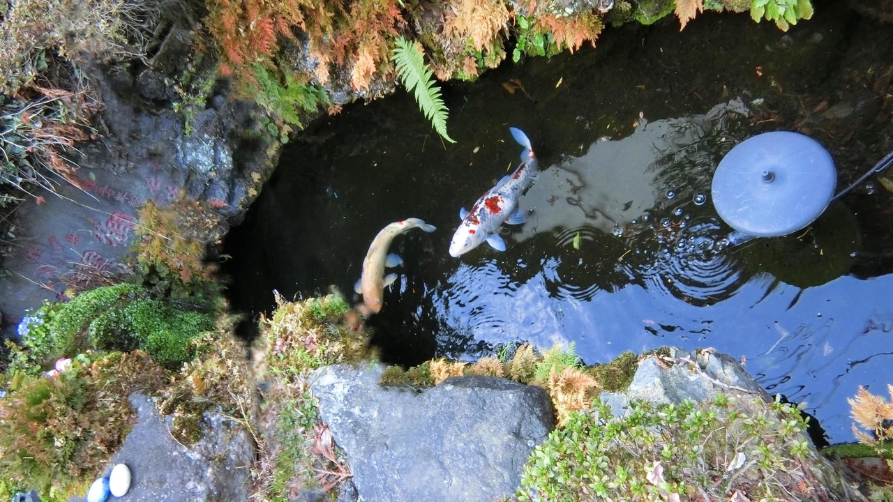 Photo of Outdoor in Isehara