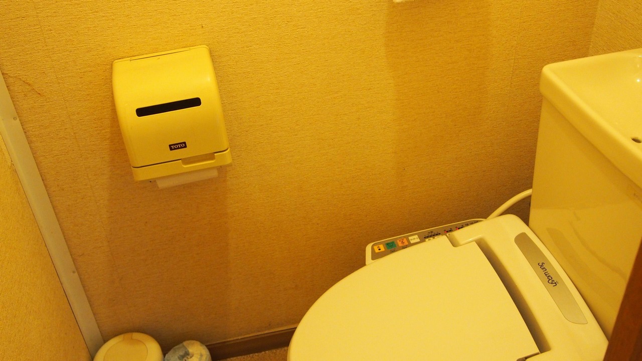 Photo of Bathroom in Nagatoro