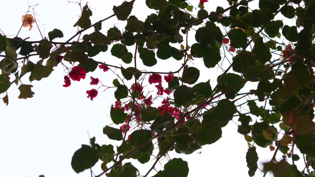 Photo of Outdoor in Yanahuara