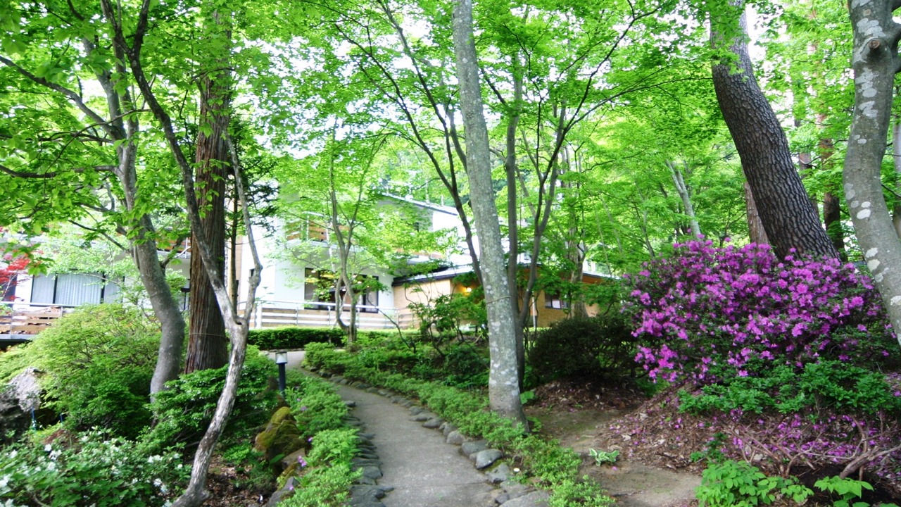 Photo of Outdoor in Yudanaka Shibu Onsen