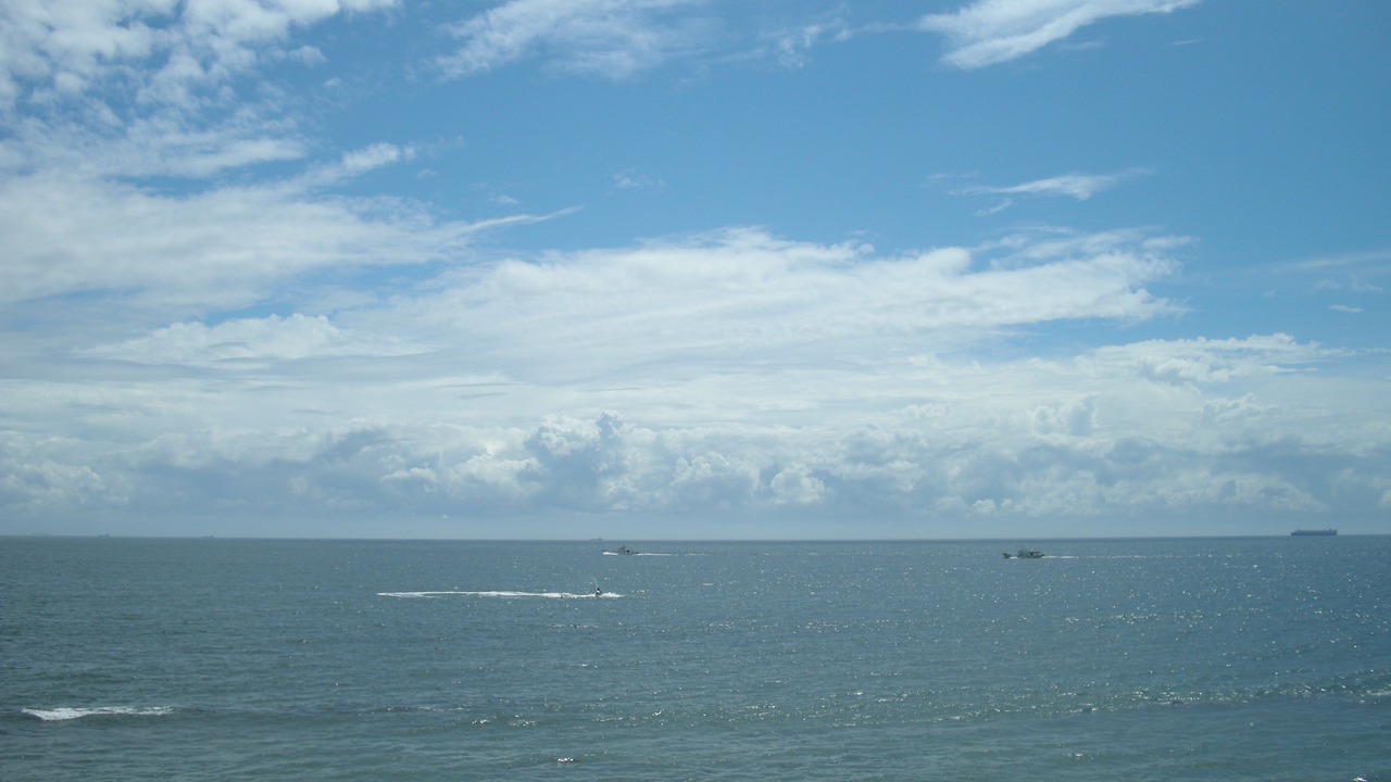 Photo of Others in Minamichita