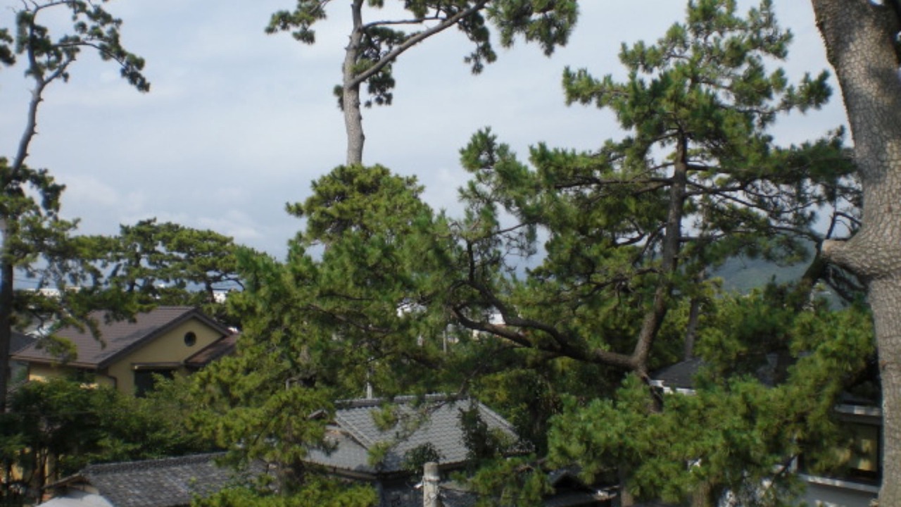 Photo of Outdoor in Numazu