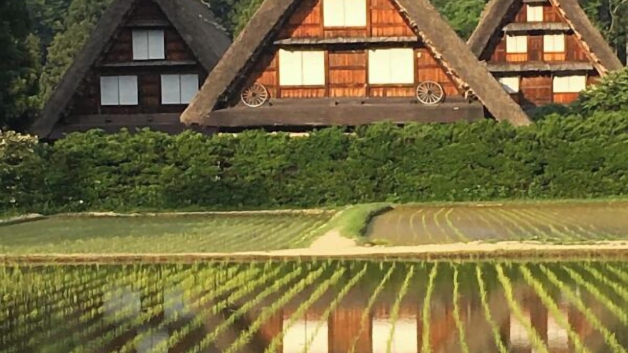 Photo of Others in Hida Takayama Onsen