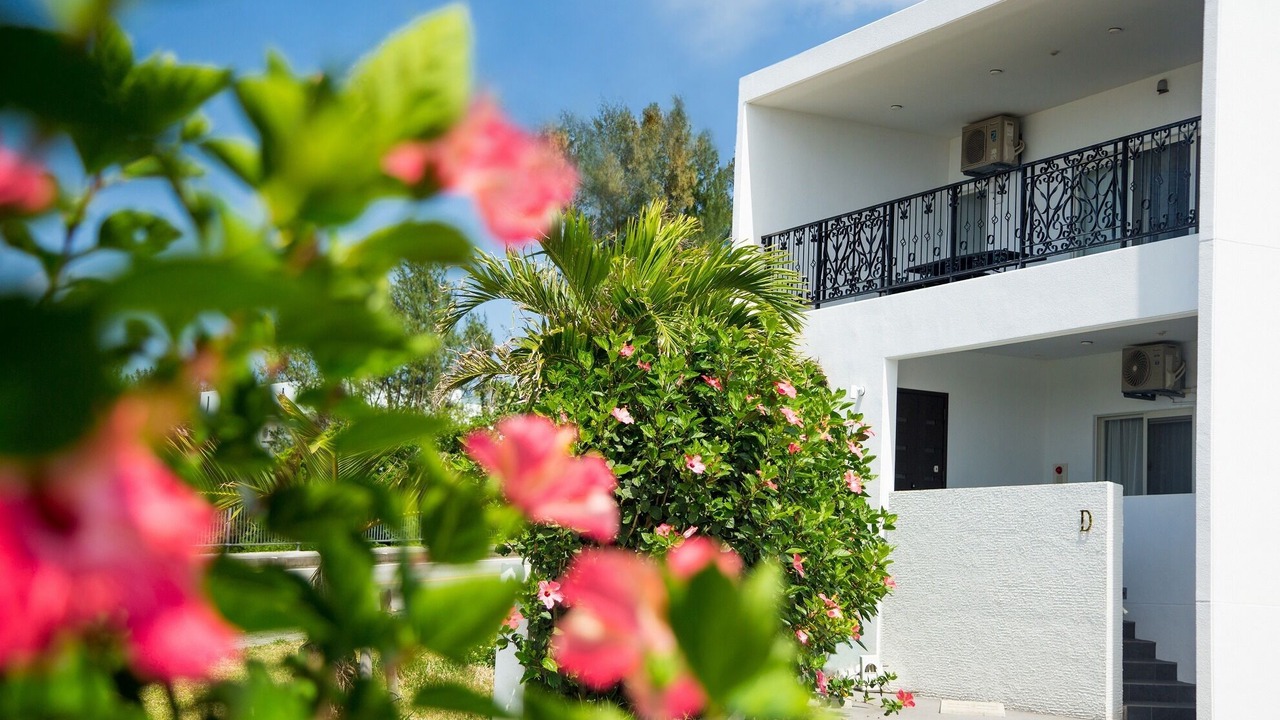 Photo of Outdoor in Bise