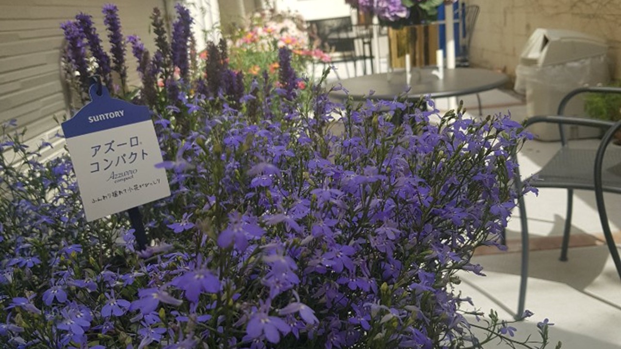 Photo of Outdoor in Hyakunincho