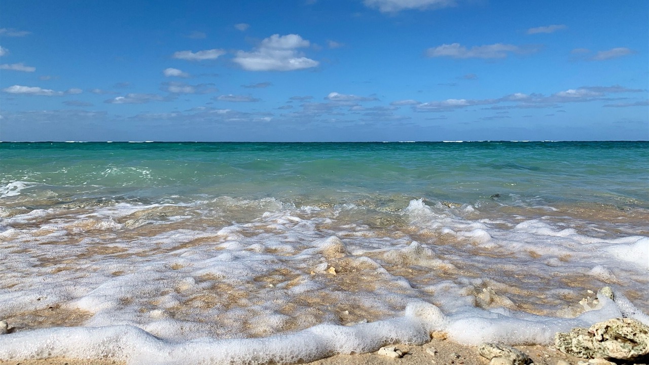 Photo of Others in Miyakojima