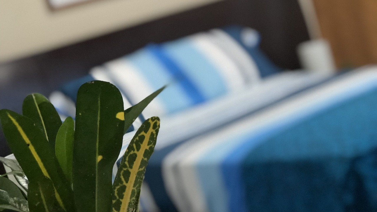 Photo of Bedroom in Iquitos