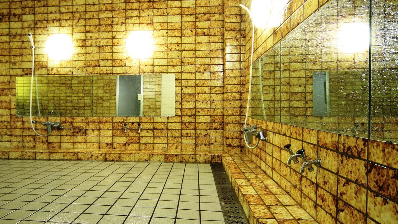 Photo of Bathroom in Iida